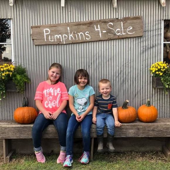 Meet your Posher, Mark - Picture 1 of 1